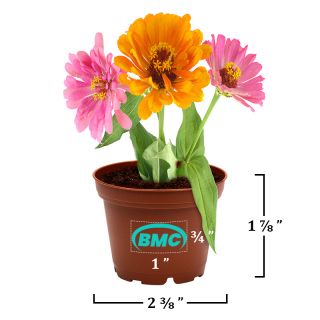 Terra Cotta Lil Planter Kits