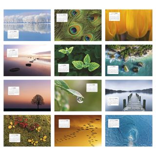 Simplicity Large Desk Calendars