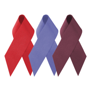 2.5 Inch Blank Awareness Ribbons with Pin