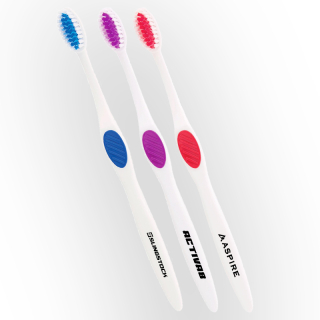 Winter Accent Toothbrushs