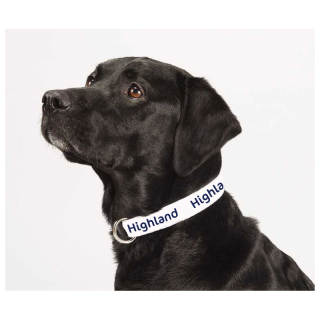 Full Color 1 Inch Wide Adjustable Pet Collars