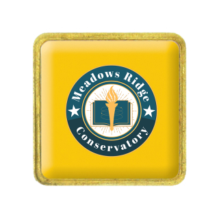 1 1/16 Inch ized Brass Square Full Color Lapel Pins