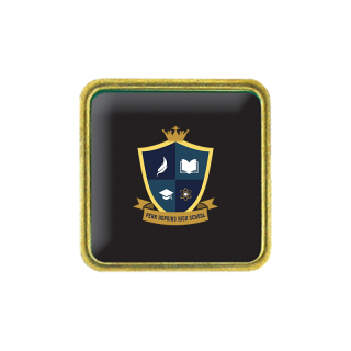 7/8 Inch Brass Square Full Color Lapel Pins