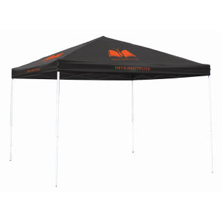 10x10 Feet Heavy Duty Canopy Tents