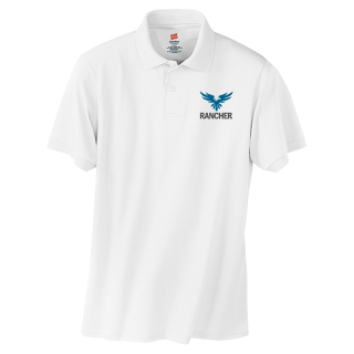 Hanes® EcoSmart® 52-Ounce Jersey Knit Sport Shirts