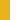 Gold/White