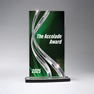 Large Awards