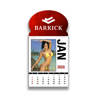 4C Press-N-Stick Header Sunshine Girls Calendars