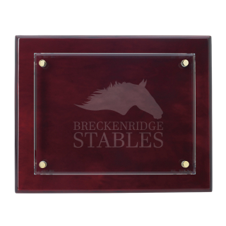 8x10 Inch Floating Glass Plaque Awards